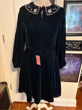 NWT Ivy City Co Elise Teal Velvet Dress Beaded Collar Cottagecore Size 12